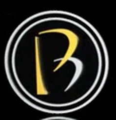 Original Progressive Bank emblem from the broadcast commercials